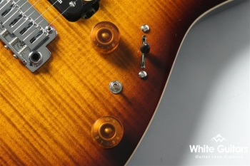 NV-3-24-AL-VTR - Bengal Burst #S2006142